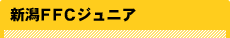 新潟FFC
